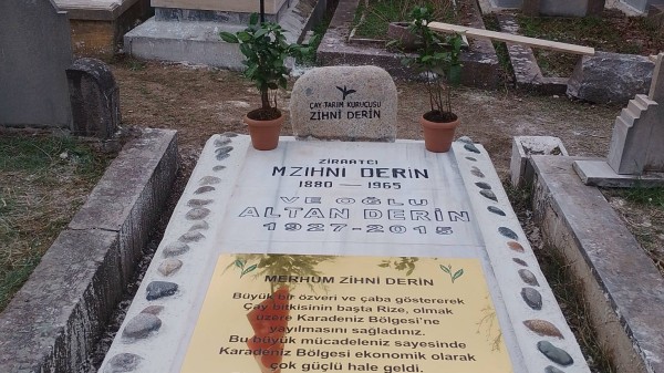 Bir Avuç Tohumdan Bir Bölgenin Kaderine: Çayın Mimarı Zihni Derin