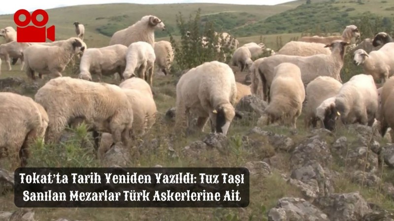 Tokat’ta Tarih Yeniden Yazıldı: Tuz Taşı Sanılan Mezarlar Türk Askerlerine Ait