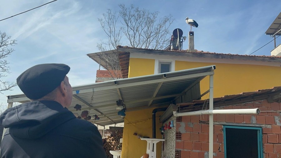 Yaren leyleğin eşi Leylek köyündeki yuvaya geldi