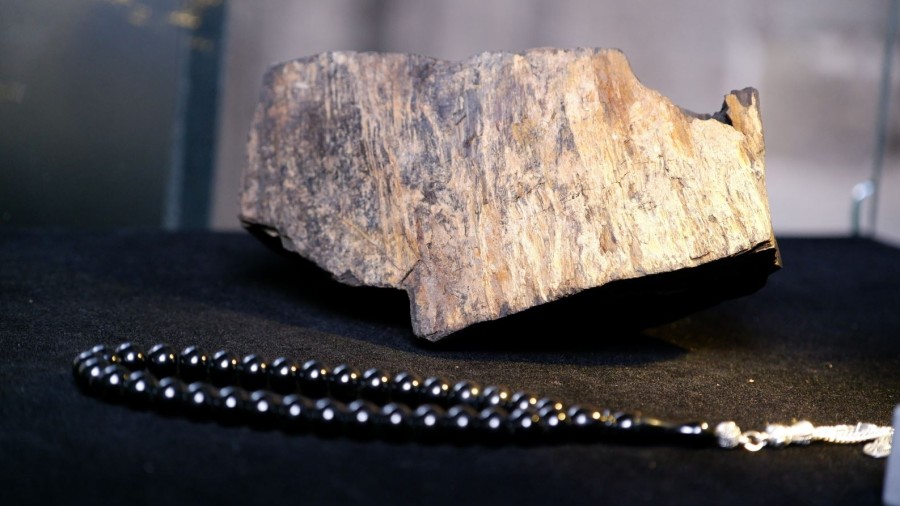 Viktorya Saraylarından Erzurum Dağlarına: Bir Kültür Taşıyıcısının Yolculuğu