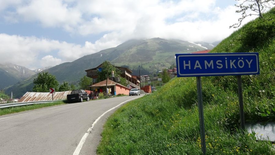 Hamsiköy İsminin Kökeni: “Hamse”den “Hamsi”ye Uzanan Dönüşüm