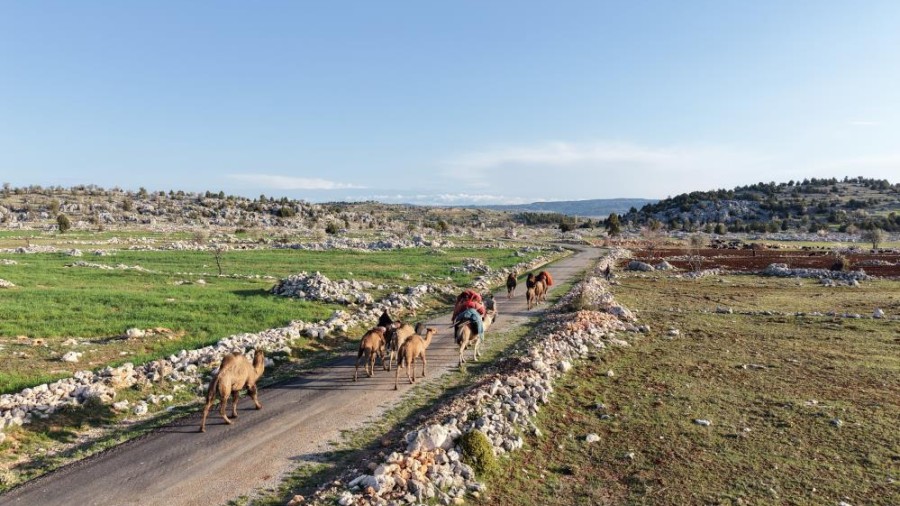 Bin Yıllık Yörük Geleneği Toroslar’da Yaşamaya Devam Ediyor: Sarıkeçili Yörükleri Yayla Yolunda