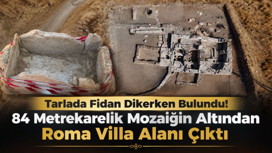 Tarlada Fidan Dikerken Bulundu! 84 Metrekarelik Mozaiğin Altından Roma Villa Alanı Çıktı