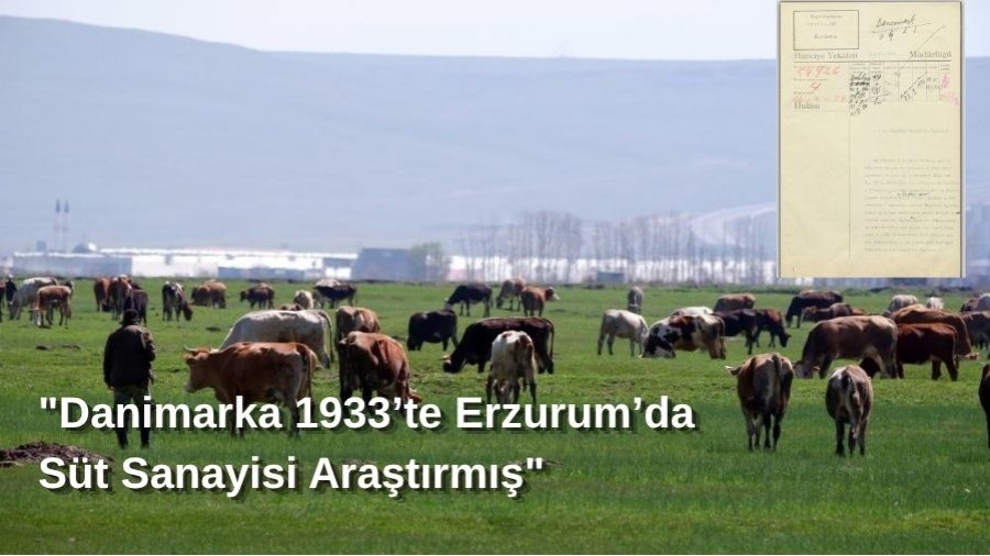 Tarihî Belge Ortaya Çıktı: Danimarka 1933’te Erzurum’da Süt Sanayisi Araştırmış