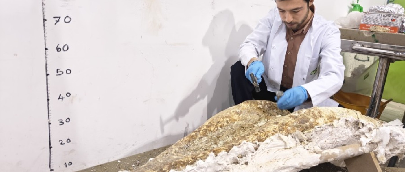 Kayseri Taşhan’da Dev Keşif: 7,7 Milyon Yıllık Tarihin Eksik Parçaları Tamamlanıyor