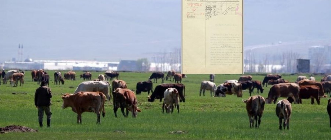 Tarihî Belge Ortaya Çıktı: Danimarka 1933’te Erzurum’da Süt Sanayisi Araştırmış